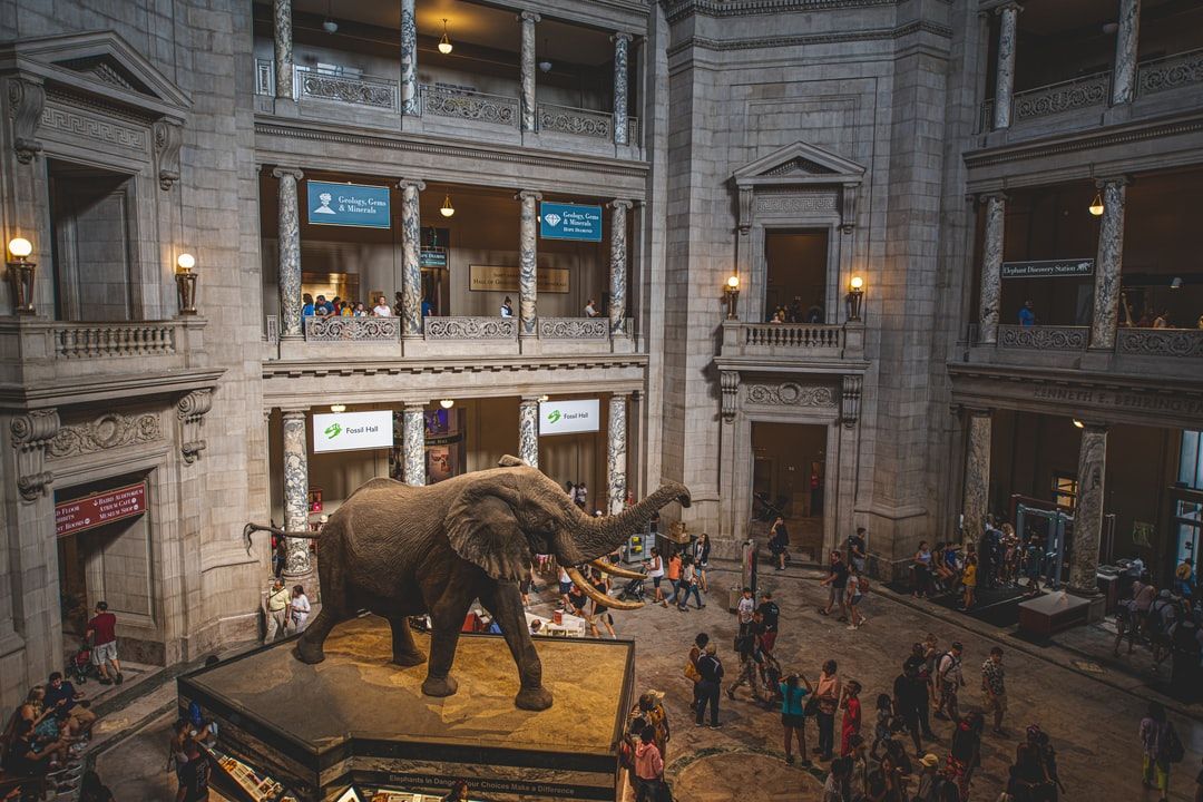 De plus en plus de musées font appel au financement participatif.
