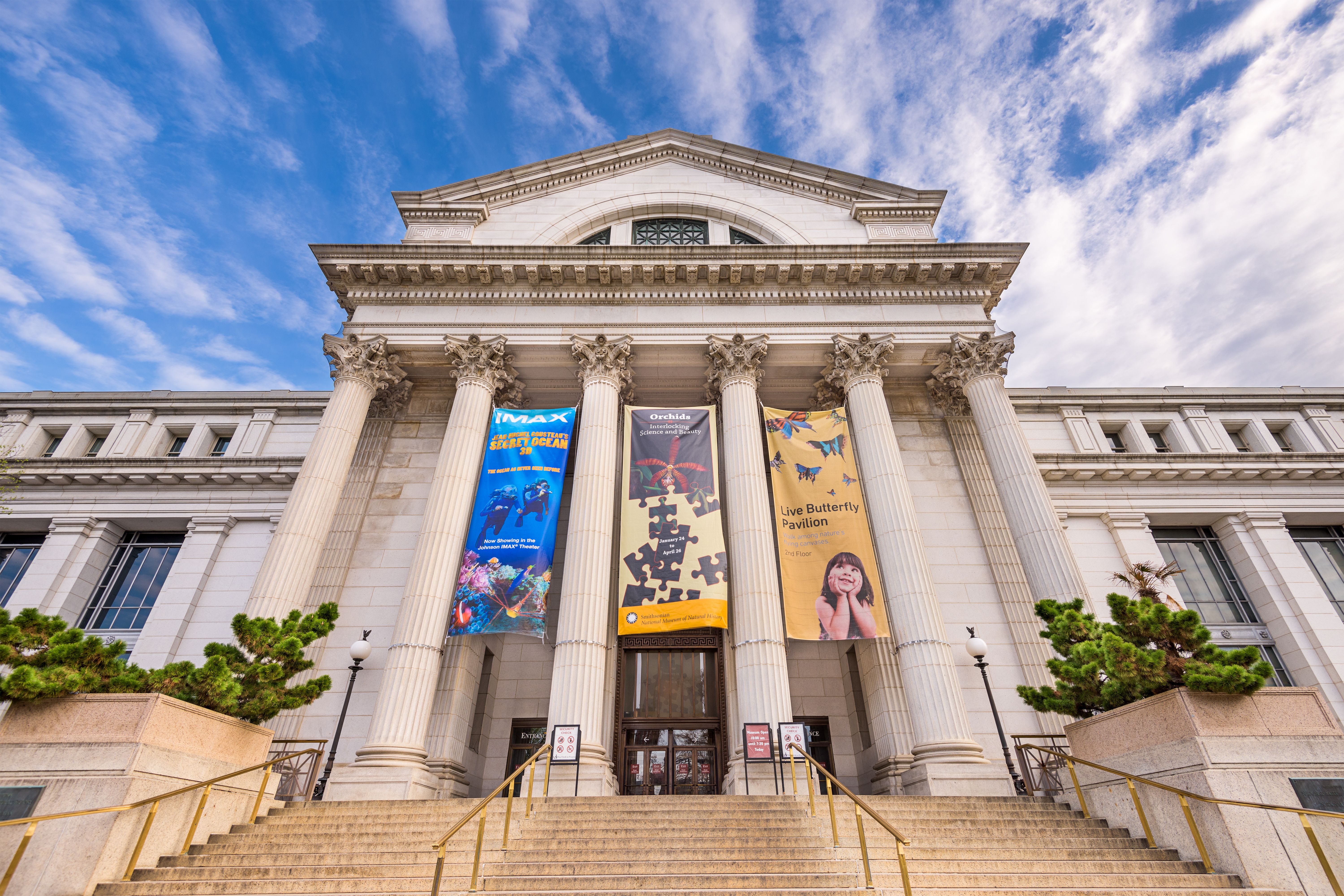 L'IoT renforce les autres systèmes de sécurité dans les musées. Les différents moyens pour sécuriser un musée et les oeuvres qu'il abrite sont complémentaires.
